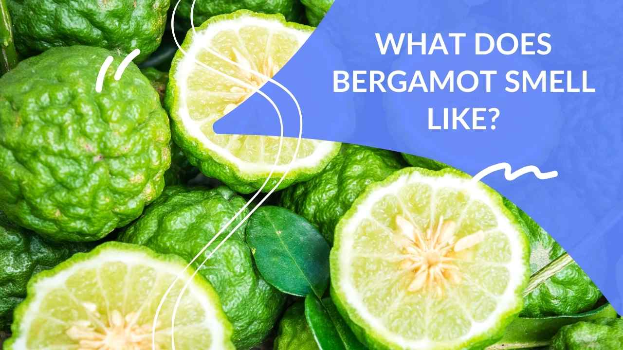 what-does-bergamot-smell-like-dapper-clan