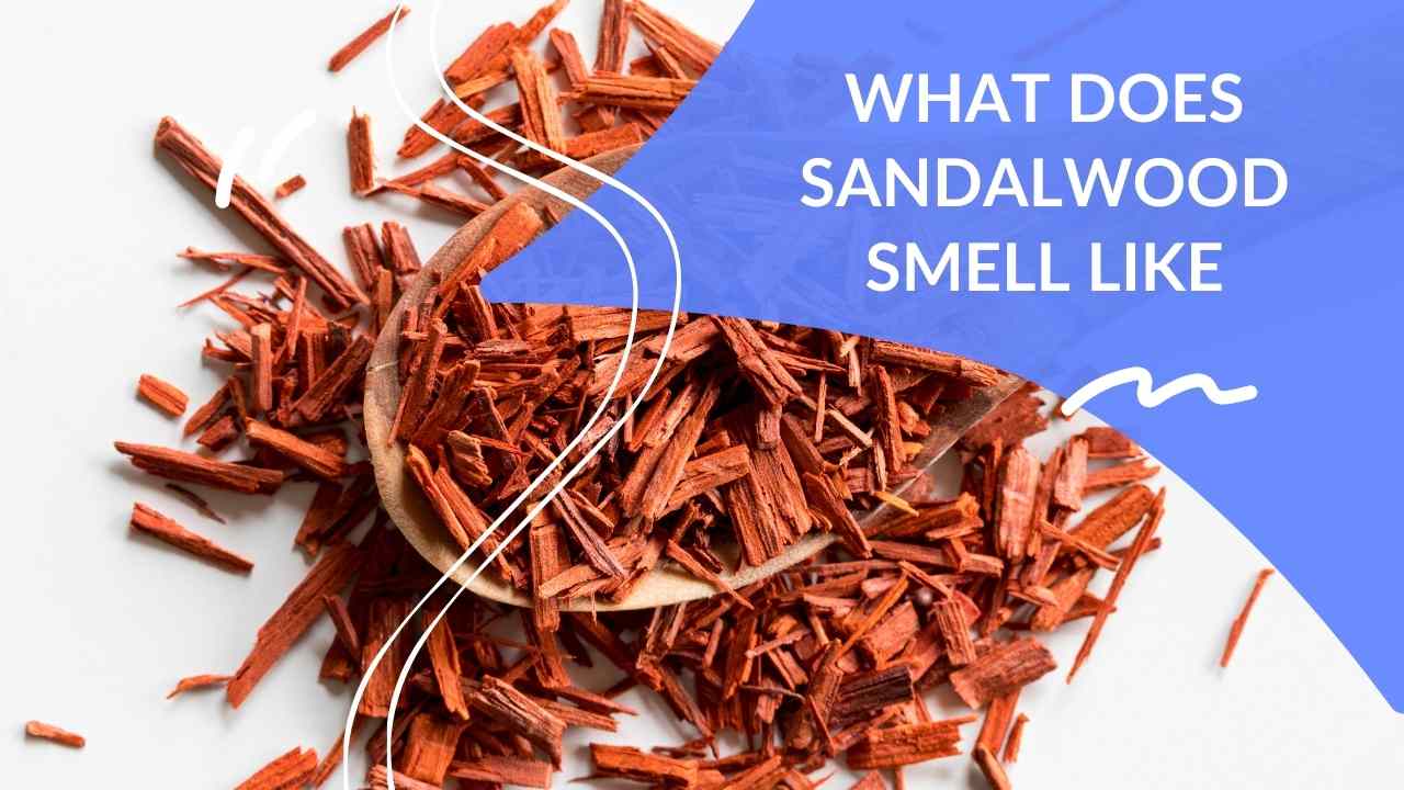 What Does Sandalwood Smell Like Dapper Clan what-does-sandalwood-smell-like-dapper-clan